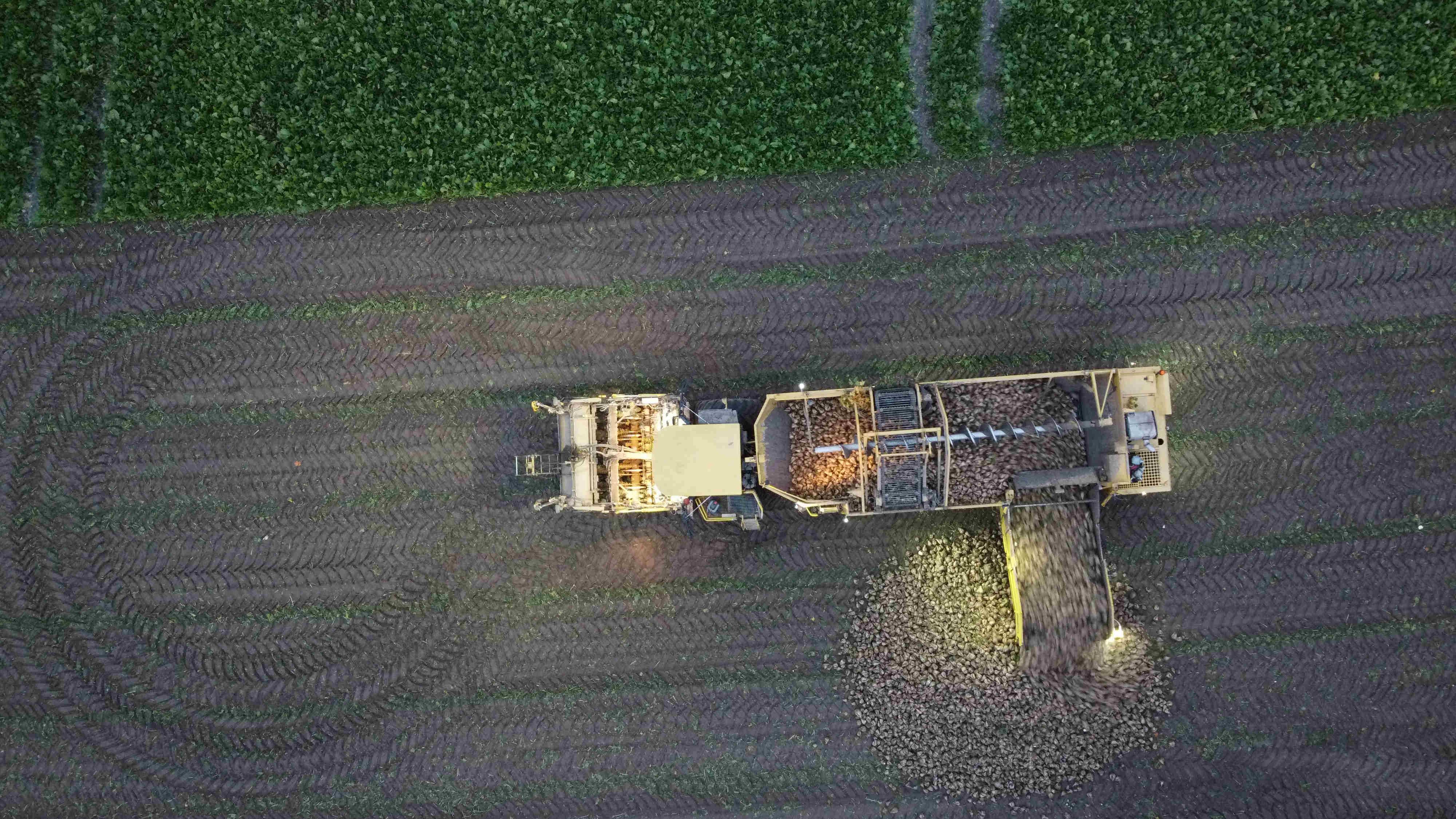 Spotkanie Związku ZPBC Krasiniec z Przedstawicielami cukrowni.